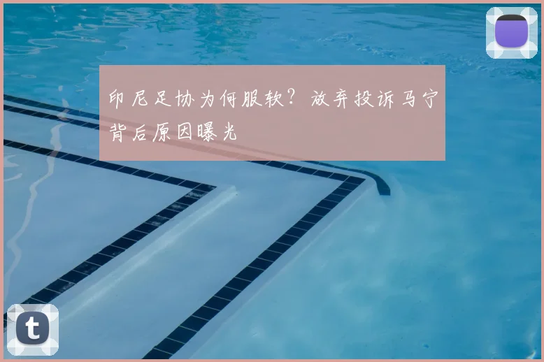 印尼足协为何服软?放弃投诉马宁背后原因曝光