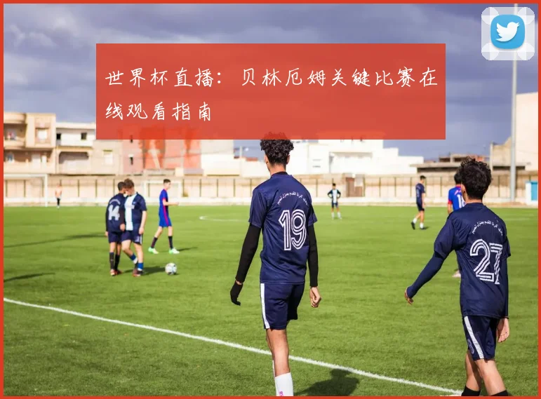 世界杯直播：贝林厄姆关键比赛在线观看指南