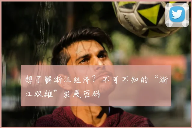 想了解浙江经济？不可不知的“浙江双雄”发展密码